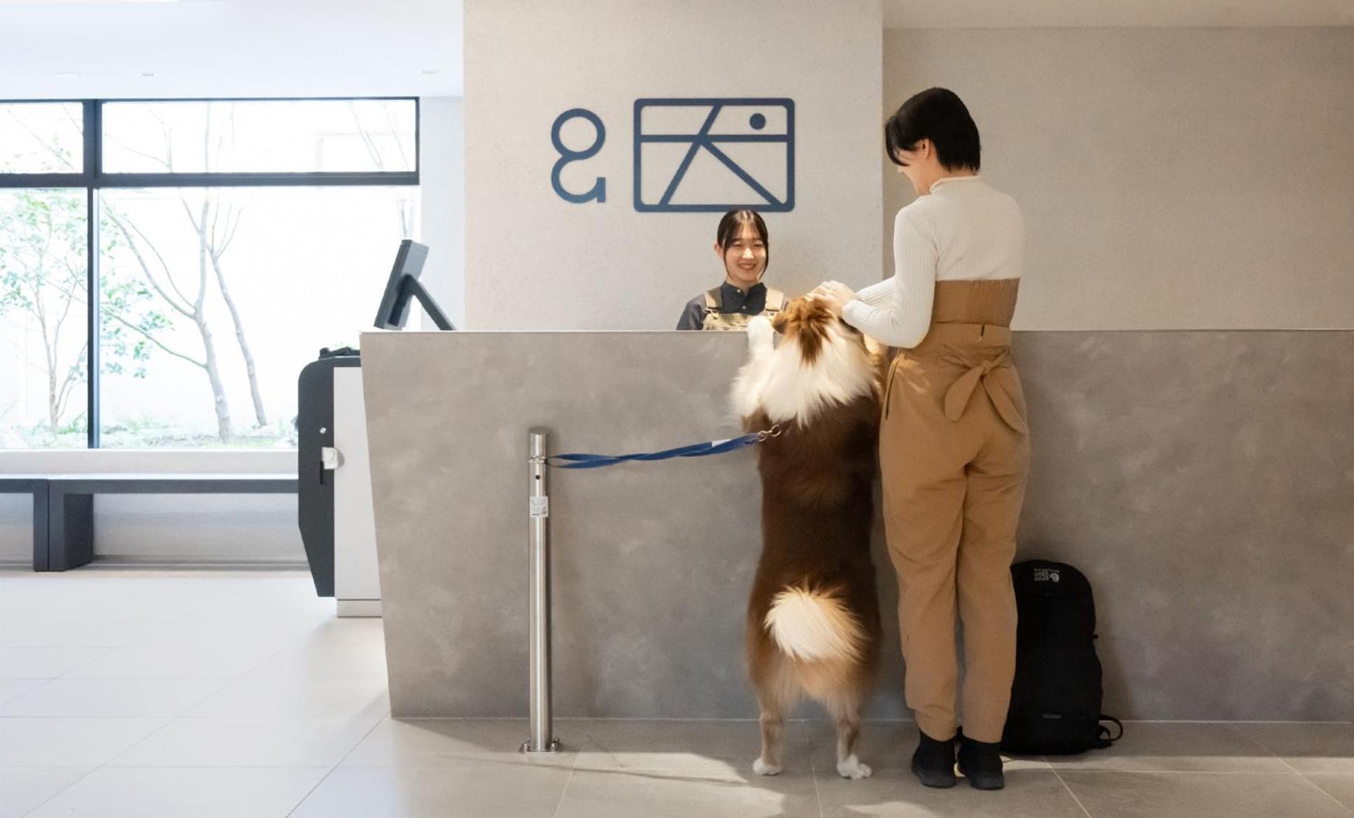 Hotel Anddoggy Kyoto Nijo Exteriér fotografie