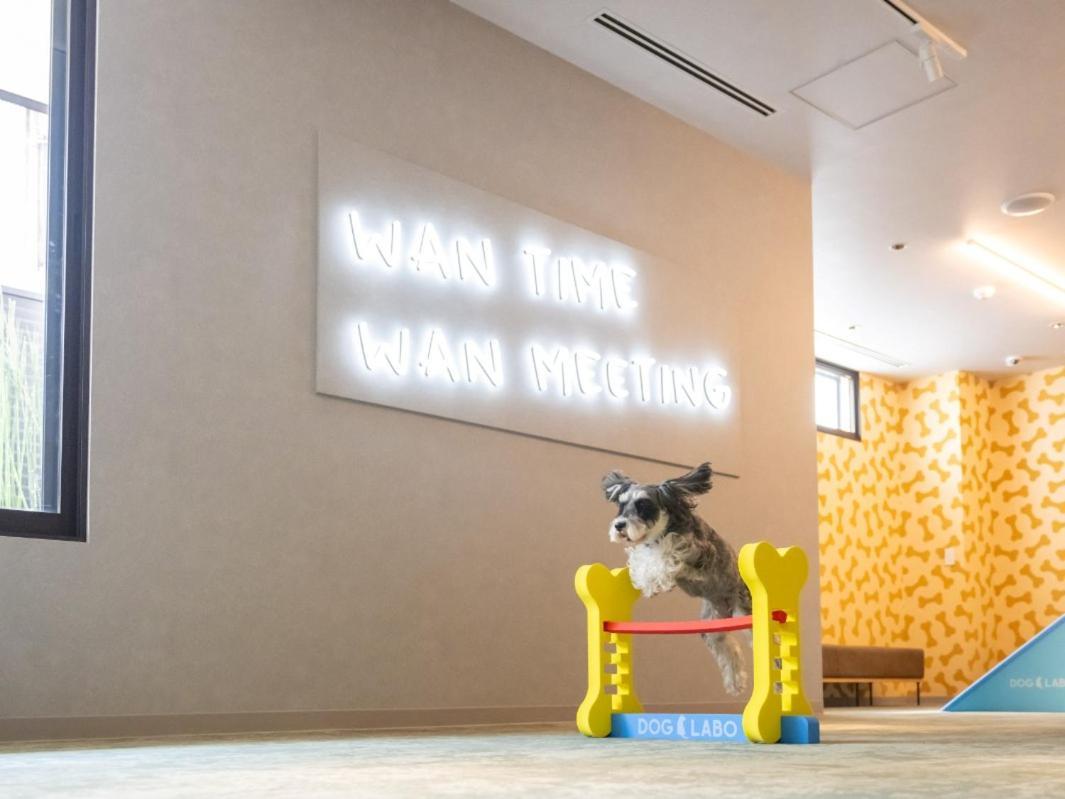 Hotel Anddoggy Kyoto Nijo Exteriér fotografie