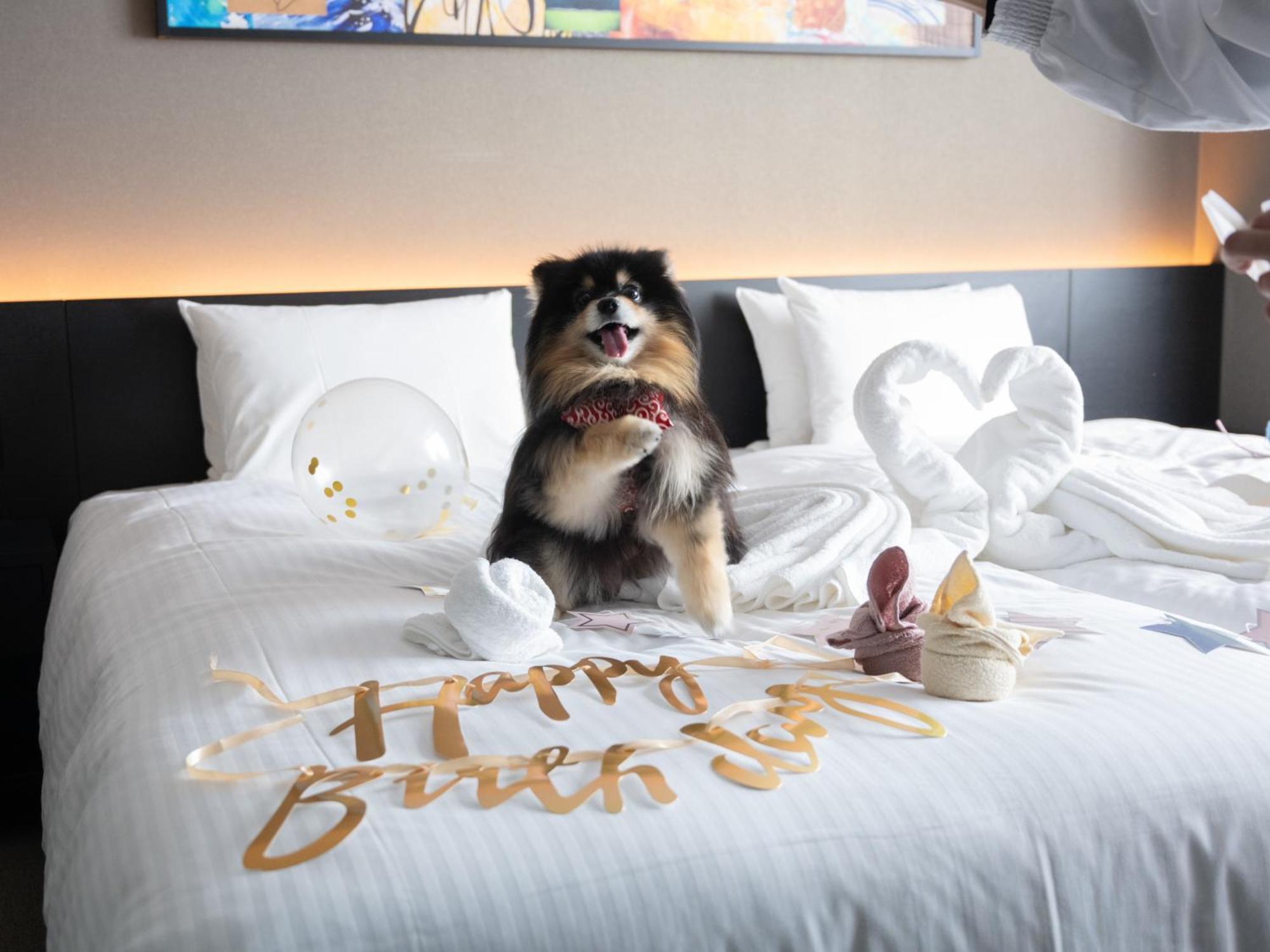 Hotel Anddoggy Kyoto Nijo Exteriér fotografie