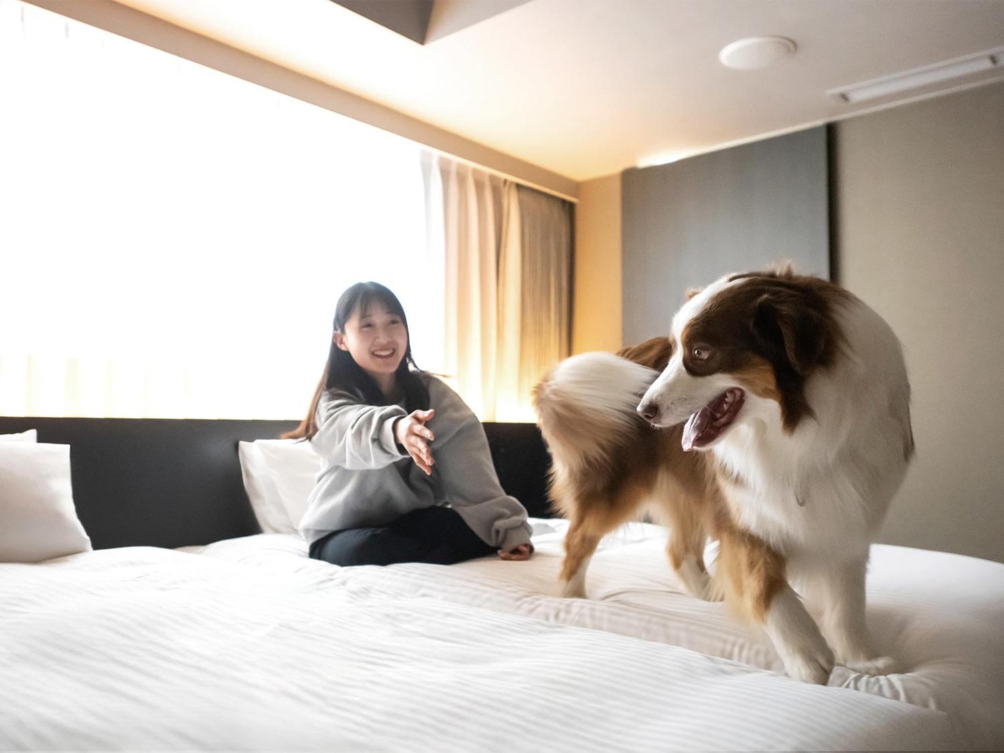 Hotel Anddoggy Kyoto Nijo Exteriér fotografie